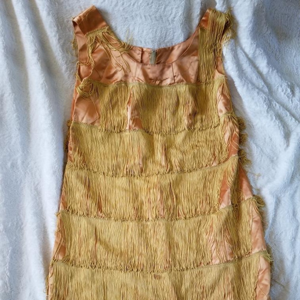 Fringe Sateen Flapper Dress
